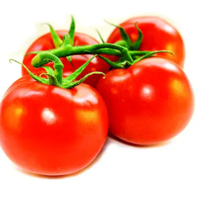 La madre de los tomates
