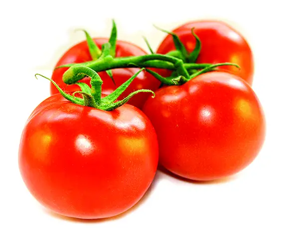 La madre de los tomates