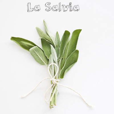 En Vainilla y Azafrán nos gusta: La Salvia